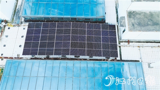 臺(tái)山市檔案館建筑屋頂上，一片深藍(lán)色的“光能矩陣”正悄然形成。