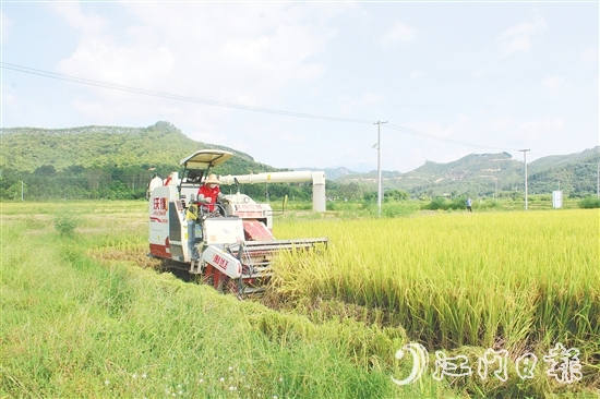 恩平農(nóng)業(yè)機(jī)械化水平提升。