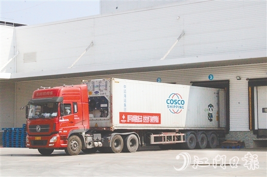 在廣東供銷（江門恩平）天業(yè)冷鏈物流產(chǎn)業(yè)園的支持下，恩平馬鈴薯實(shí)現(xiàn)出口外銷、錯峰銷售。