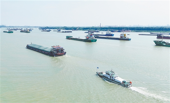 臺(tái)風(fēng)來(lái)臨前，大批外地船舶有序進(jìn)入江門(mén)銀洲湖、潭江、西江等水域避風(fēng)。