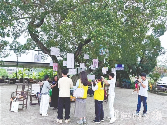 胡丹陽選擇將畫展搬到倉(cāng)東村的大榕樹下。