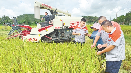 臺山市強(qiáng)化國資國企擔(dān)當(dāng)，聚焦農(nóng)戶“賣糧難、曬糧難”等痛點(diǎn)，精準(zhǔn)破解涉農(nóng)難題。