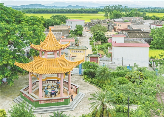 沖蔞鎮(zhèn)西海村通過校地協(xié)作、環(huán)境整治、文旅融合等舉措，推動產(chǎn)業(yè)提質(zhì)、民生改善、文化傳承。