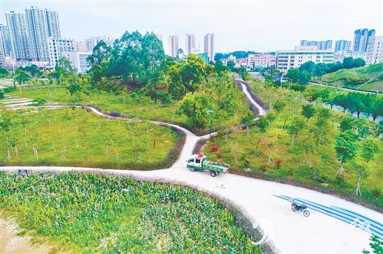 鶴山市聚焦城市交通重要點位，科學規(guī)劃，打造鶴山文化中心綠美鶴山示范點等，帶動城鄉(xiāng)一體綠美提升。