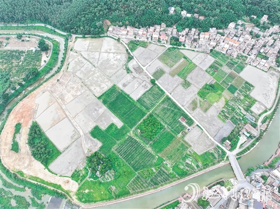 鶴城鎮(zhèn)水浪村農(nóng)業(yè)公園中的田塊錯落有致。