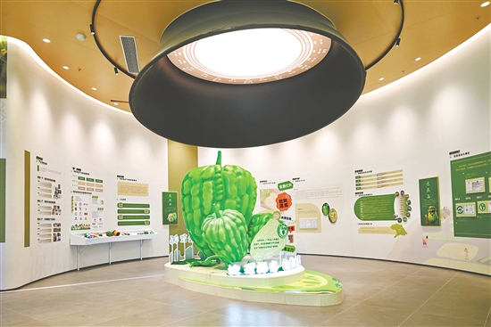 杜阮涼瓜博覽館。