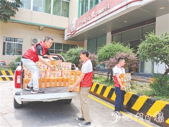 龍勝鎮(zhèn)將火龍果分批運(yùn)往蓬江、臺(tái)山、鶴山、恩平等地，一周內(nèi)售出1500余公斤，有效帶動(dòng)種植戶(hù)增收。