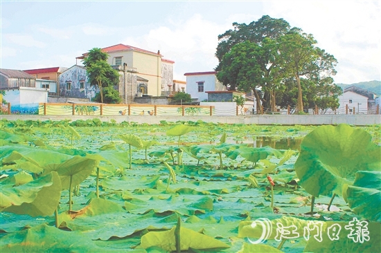 從產(chǎn)業(yè)協(xié)同到生態(tài)蝶變，從設(shè)施完善到文化繁榮，川島鎮(zhèn)甫草村甫草村以資源稟賦為基，展現(xiàn)新變化。