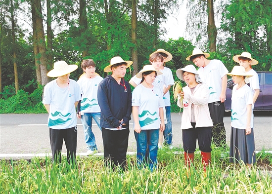 李蘇紅為隊員們介紹水稻生長各個環(huán)節(jié)的特點(diǎn)與注意事項。