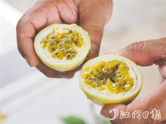 切開黃金百香果，酸甜的香氣撲面而來，十分誘人。