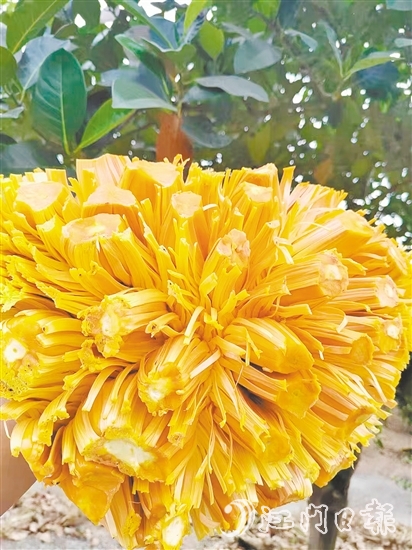 紅肉菠蘿蜜果實(shí)清香、口感脆甜且營養(yǎng)價值高。