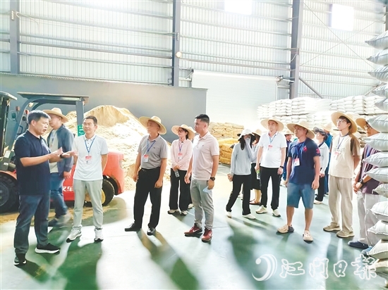 人大代表視察粵翔公司魚粉加工現(xiàn)場。