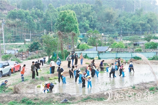 龍眠村把田間地頭打造成實(shí)踐研學(xué)地，探索發(fā)展農(nóng)文旅產(chǎn)業(yè)。