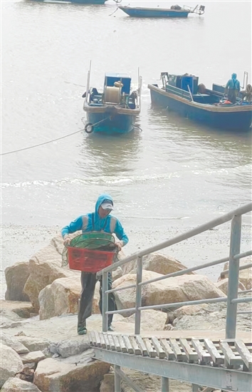 等到漁船靠岸，你可以在漁民處買(mǎi)到各種新鮮海鮮。