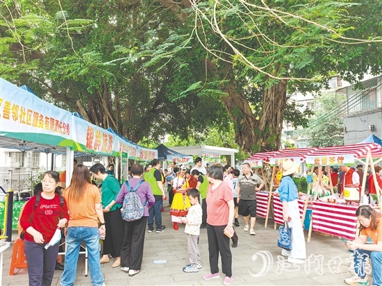 社區(qū)社會企業(yè)將利潤按比例反哺社區(qū)公益,形成“服務(wù)—收益—反哺”的良性循環(huán)。圖為蓬江區(qū)善鄰社區(qū)服務(wù)有限公司在象山社區(qū)開展銀發(fā)經(jīng)濟(jì)集市活動(dòng)。