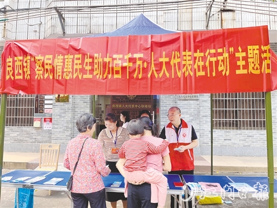 良西鎮(zhèn)人大組織開(kāi)展主題活動(dòng)。