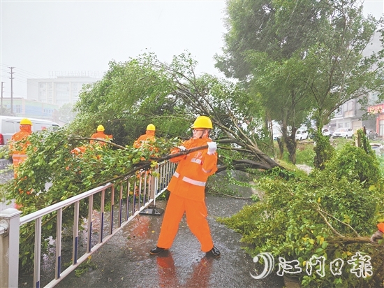 工作人員冒著風(fēng)雨作業(yè)，清理倒伏樹木。
