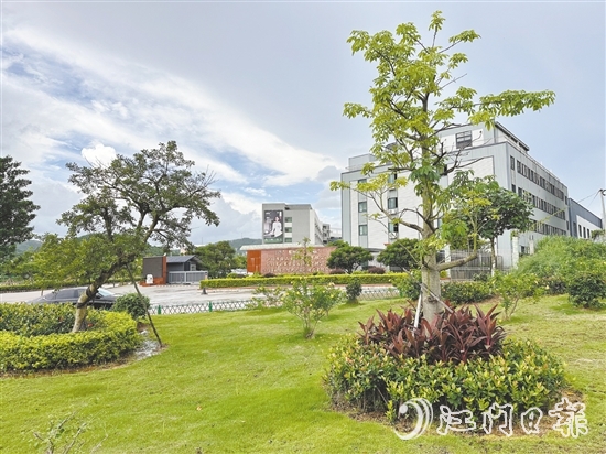 口袋公園不僅為社區(qū)拓展了綠色空間，更成了居民茶余飯后的休閑新去處。