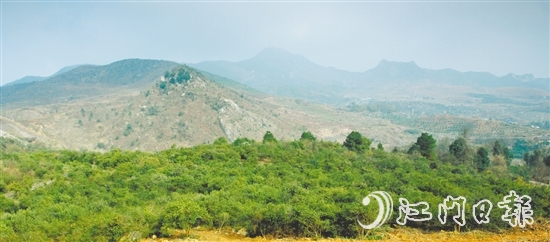 利奧集團(tuán)經(jīng)過多番考察，尋找到合適的山地種植油茶樹。