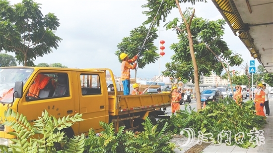 城管部門(mén)提前修剪樹(shù)木，消除隱患。