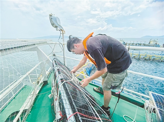 工作人員對“臺山1號”的太陽能板進行加固。