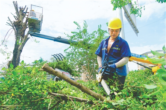 我市城管部門(mén)組織人員積極防風(fēng)，圖為工作人員在城區(qū)主要路段修剪綠化樹(shù)。
