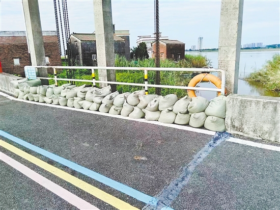 臺(tái)山市大江鎮(zhèn)重點(diǎn)通過(guò)堆疊防汛沙包，對(duì)轄區(qū)江邊所有易漫水口進(jìn)行逐一封堵、壓實(shí)，切實(shí)將臺(tái)風(fēng)可能引發(fā)的江水漫溢風(fēng)險(xiǎn)降至最低。李嘉敏