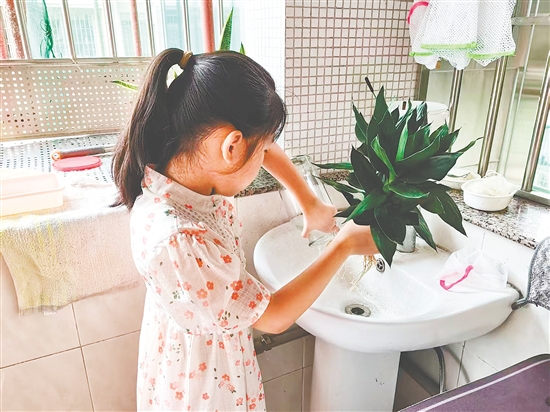 豐樂小學(xué)學(xué)生清理家里花瓶的積水。