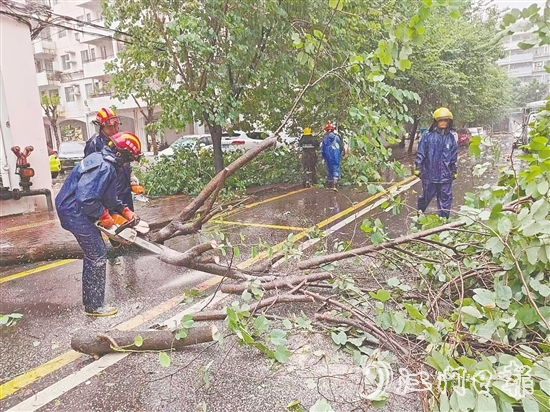 江南街道工作人員清理倒伏樹木。