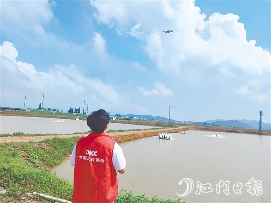 江門人保財(cái)險(xiǎn)工作人員現(xiàn)場(chǎng)開展前置性風(fēng)險(xiǎn)排查與防護(hù)指導(dǎo)。