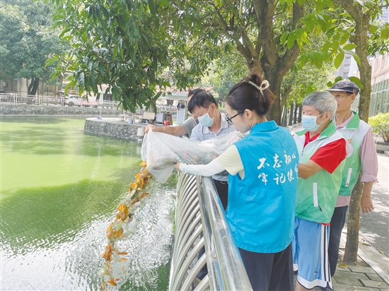 大家協(xié)力將“滅蚊魚”投放到甘化新村的人工湖。