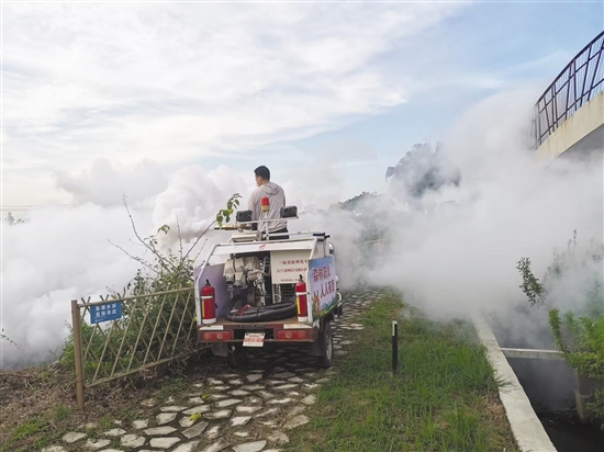 開平市塘口鎮(zhèn)通過多種方式應(yīng)用煙霧機(jī)滅蚊。圖為煙霧機(jī)搭配農(nóng)用車對蚊蟲進(jìn)行滅殺。