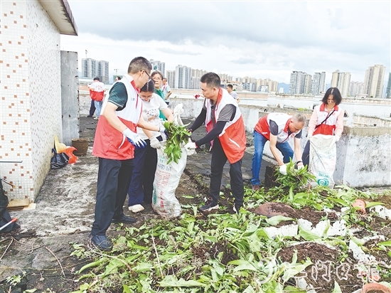 黨員干部在老舊居民樓頂清理廢棄花盆、雜物、亂生植物，不放過任何一個衛(wèi)生死角。