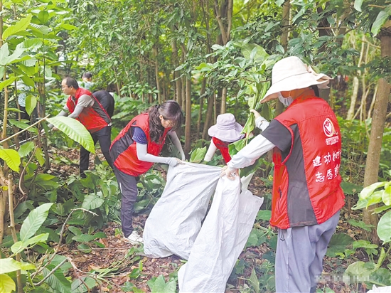 江門(mén)市科協(xié)工作人員在市林科所清理樹(shù)枝。