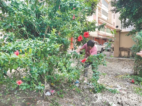 75歲的梁婆婆主動(dòng)參與社區(qū)環(huán)境整治。