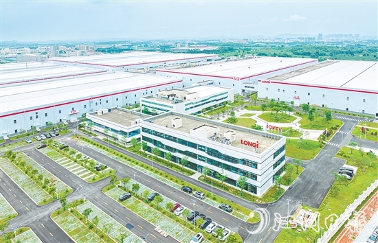 鶴山隆基綠能項目。