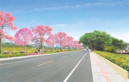 開平市以“繁花為飾、潔凈為底”的城鄉(xiāng)新貌，喜迎十五運(yùn)會(huì)和殘?zhí)貖W會(huì)。