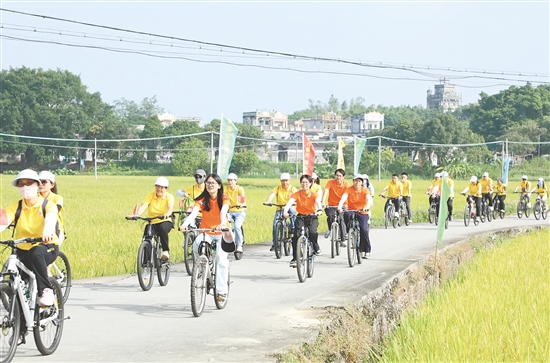 近300名騎行愛好者身著亮色騎行服啟程，車輪滾滾間，金色稻浪與百年碉樓相映成趣。