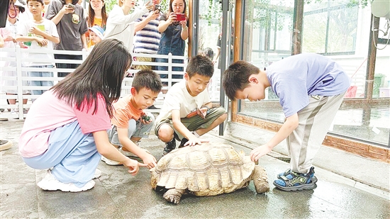福倫文旅龜博園是嶺南地區(qū)首個(gè)以龜文化為主題的文旅博覽園。