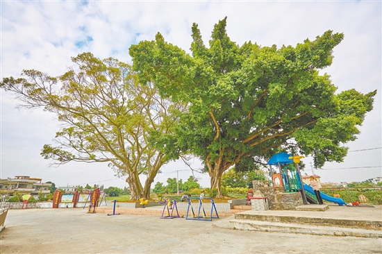 沙沖村完善基礎(chǔ)設(shè)施建設(shè)，為村民營(yíng)造更舒適的休閑空間。