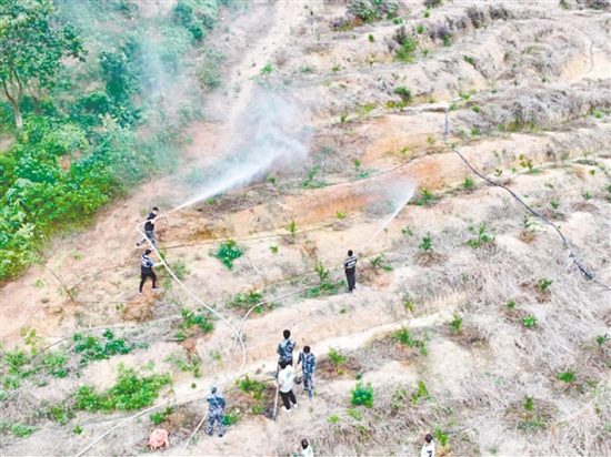大江鎮(zhèn)在石橋坑尾村組織開展森林防滅火應(yīng)急演練，以實(shí)戰(zhàn)筑牢安全防線。