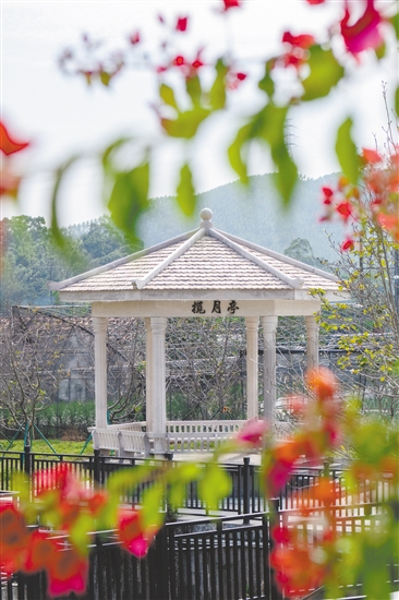 位于櫻花河堤邊上的攬?jiān)峦?，與攬?jiān)鲁?、大昆侖山和小昆侖山遙相呼應(yīng)。