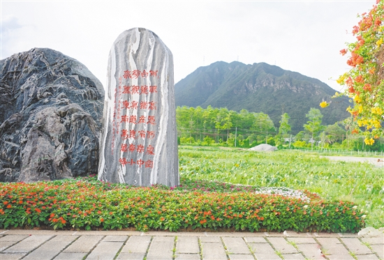 陳白沙景觀石是城西村的網(wǎng)紅打卡點(diǎn)。