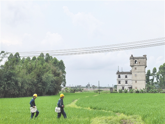旅游旺季來(lái)臨前，開(kāi)平供電局加強(qiáng)文旅重鎮(zhèn)值班值守，保障用電安全。陳小騫