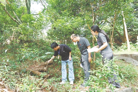 “林長(zhǎng)+森林法官”聯(lián)合巡林，守護(hù)生態(tài)環(huán)境。