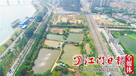 濱江大道旁地塊實(shí)景圖。