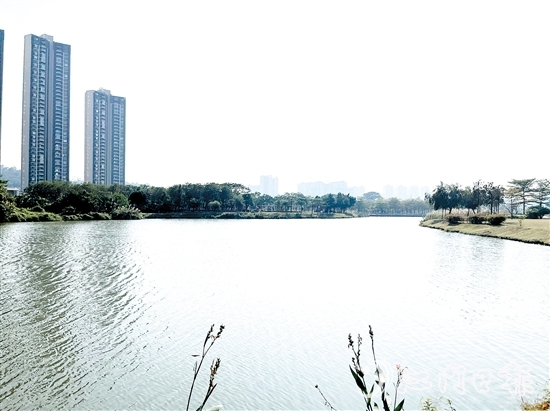 近年來，江門居住環(huán)境越來越好。