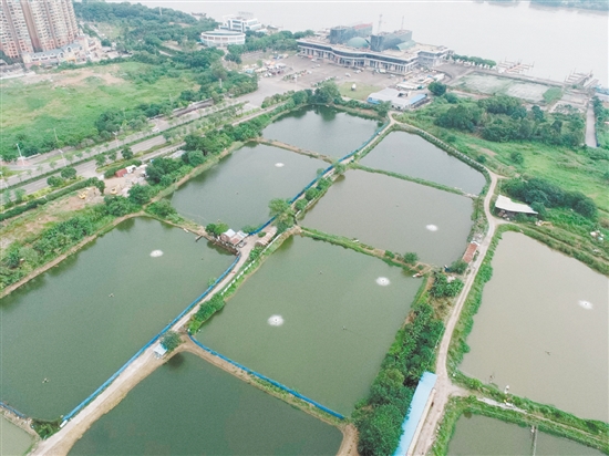 臨江路與金甌路交界西南側(cè)地塊位于外海港澳碼頭西側(cè)。