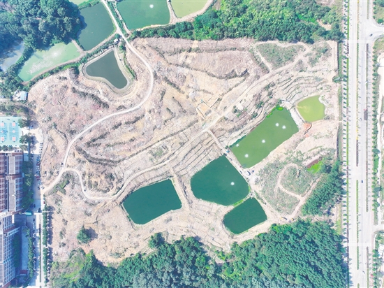 本次競(jìng)拍的蓬江24、25、26號(hào)地為相連地塊。