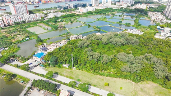 江門市JCR2025-148（蓬江22）號地。